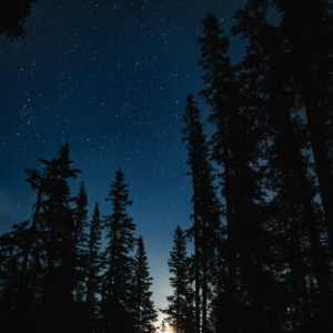 Human Design Report by Bodygraph Chart